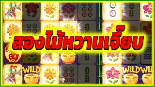 สองไม้หวานเจี๊ยบ ► Mahjong Legend AMB สล็อต สล็อตpg สล็อตแตก