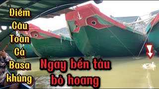 Câu ngay bến ghe sắt bỏ hoang || gần 4 năm toàn cá basa khủng