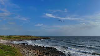 Chilled and relaxing Lofi Drone video 4k slow mo waves, Surfers and seagulls at Rest Bay, Porthcawl.