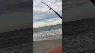 follow for more! #fishing #fish #gopro #howto #myrtlebeach