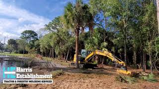 Cat 306 cr Excavator with 30 inch Torrent Mulcher Preview