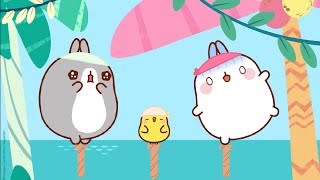 WILD ADVENTURE TIME with Molang ☀️ | Compilation For Kids