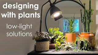 Designing with Plants: Low Light Solutions