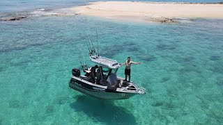 CORAL TROUT COOKUP ON A REMOTE ISLAND. -Catch and Cook