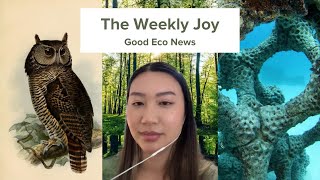 The Weekly Joy - February 2nd 2022