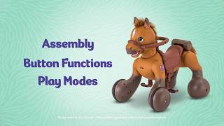 Rideamals Scout Pony Play Guide | Rideons for Kids