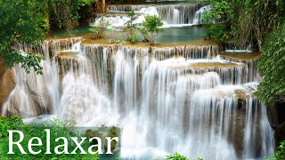 Como Aliviar a Ansiedade?  Música Relaxante com Sons de Cachoeira e Pássaro – Sem Estresse