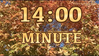 🍁14 Minute AUTUMN 🍁Timer/Countdown