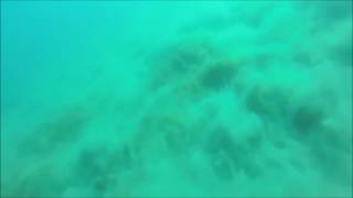 Underwater Earthquake Caught on Camera