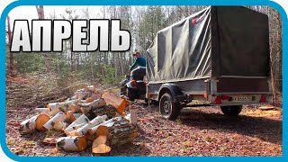 ПО-ТИХОМУ ЗАБРАЛ ДРОВА ПОКА ЛЕСНИК СПИТ. ПЕРВЫЕ КРОЛЬЧАТА! АПРЕЛЬ В ДЕРЕВНЕ