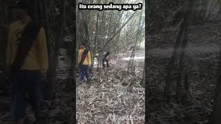 cara menebang pohon ala orang kampumg #shorts