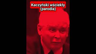 Kaczyński wściekły (parodia)