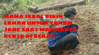 MAMA IKBAL BIKIN LAHAN UNTUK TANAM  JAHE (saat mas Manto kerja di Berau)