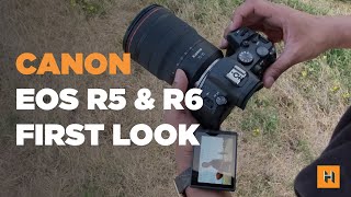 Canon EOS R5 & R6 First Look