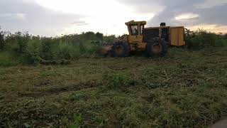 BUSH CLEARING USING ATIGER CAT.