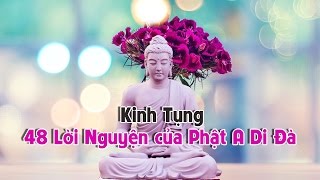 Thầy Pháp Hòa Tụng Kinh 48 Lời Nguyện Của Phật A Di Đà