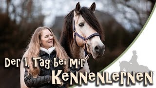 Kennenlernen - Der 1. Tag im neuen Zuhause