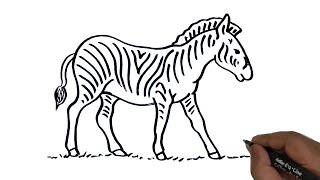 How to draw Zebra easy.