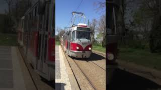 Catching the tram in Prague.