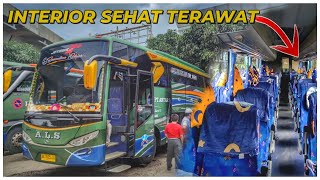 BUS INI MEMANG PANTES DIBELI || NEW ALS 168 || INTERIOR SEHAT TERAWAT