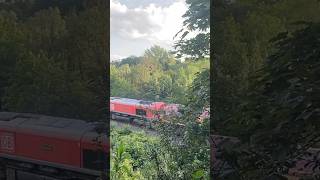 2 class 66s passing Haverfordwest #railway #train #shorts #trending