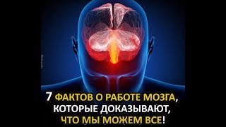 7 фактов о работе мозга, которые доказывают, что мы можем все!