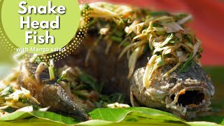 Snake Head fish with mango salad  สูตรปลาหัวงู