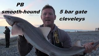 PB smooth hound from 5 bar gate