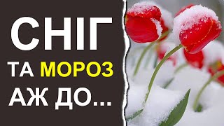 Чем удивит начало марта 2024: Погода в Украине на 10 дней