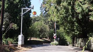 Riverwood Wig Wag crossing - Willamette Shore Trolley | UPF short