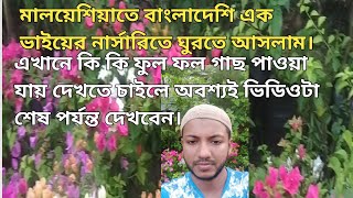 মালয়েশিয়াতে যশোরের এক ভাইয়ের ফুল,ফল এর নার্সারিতে ঘুরতে আসলাম।