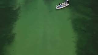 Drone  Shark  fishing-