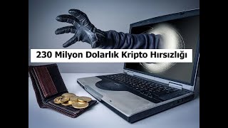 230 Milyon Dolarlık Hırsızlık