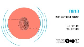 מוח המכונה המופלאה מכולן -מערכת התגמול-שיחה עם תום שינברג 6.6