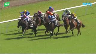 Tauranga Stakes 2024 - BELLA WATERS (3YO+ WFA G2) Group 2 Tauranga NZ 16 November