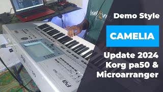 Camelia - Style Update Korg 2024 Dk Pallapa Hd Audio