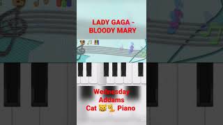 LADY GAGA - BLOODY MARY - Wednesday Addams (Cat Piano Cover) 😻🐈 #shorts #ladygaga #wednesday #piano