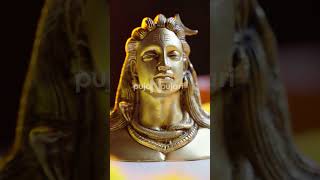 PujaNPujari's Adiyogi Brass Statue I Shop Now