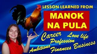 MANOK NA PULA: Mga Aral Sa Buhay Na Ipinapahayag Ng Awiting Ito.