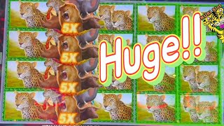 ★OH MY GOSH !! IT IS A HUGE LINE HIT !★BIG 5 SAFARI Slot (IGT)☆BIG 5 CATS Slot ★栗スロット