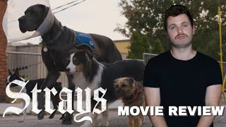 SURPRISE COMEDY CLASSIC OR MASSIVE MISFIRE? - Strays - Davey Dave's Movie Review (No Spoilers)