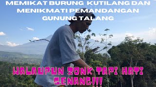 Kutilang pikat full emosi