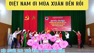 VIỆT NAM ƠI MÙA XUÂN ĐẾN RỒI - LH VĂN NGHỆ | BIỂU DIỄN : CHI HỘI NGƯỜI CAO TUỔI XÓM 4 KHU HÒA ĐÌNH