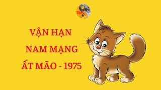 Nam Ất Mão 1975 - Tử Vi & Vận Hạn 6 Tháng Đầu Năm Nhâm Dần 2022