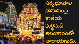 Tirumala Sri Venkateswara Swamy Brahmotsavam 2024 Sarvabhoopala Vahanam