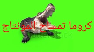 كروما تمساح للمونتاج