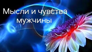 Мысли и чувства мужчины.