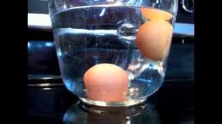 Simple Egg Quality Test How to tell if an egg is bad