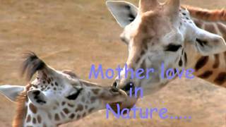 Mother Love..