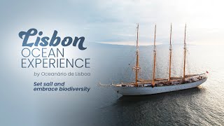 Lisbon Ocean Experience | Set sail and embrace biodiversity!